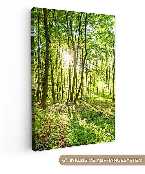 OneMillionCanvasses® Leinwandbild Natur - Bäume - Wald - Grün - Sonnenlicht günstig online kaufen