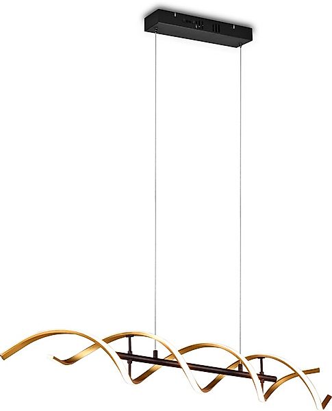 TRIO Leuchten LED Pendelleuchte »Sequence«, 1 flammig, Leuchtmittel LED-Boa günstig online kaufen