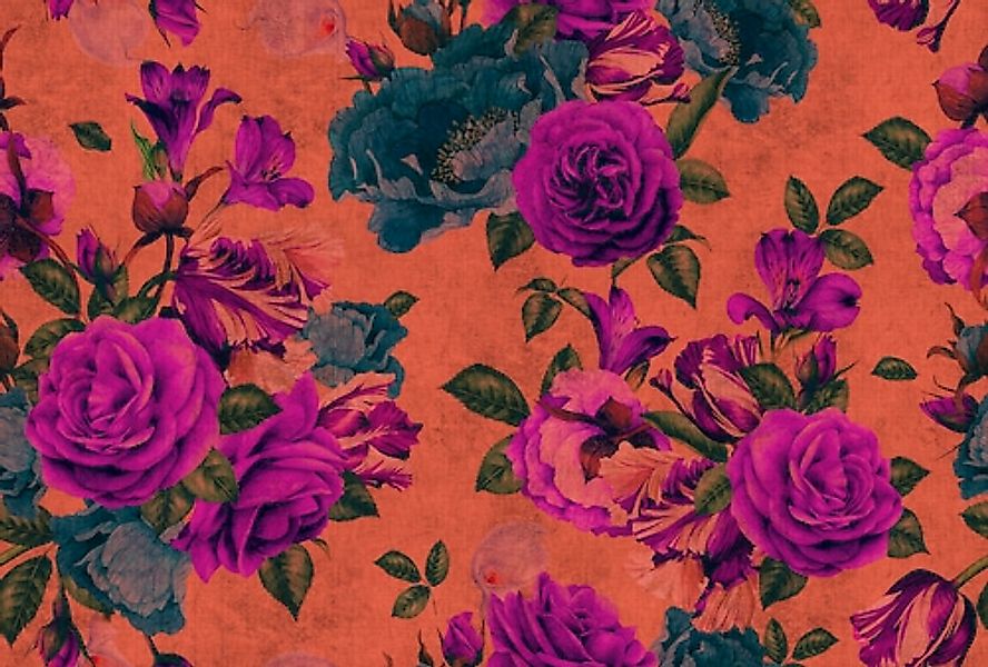living walls Fototapete »Walls by Patel Spanish Rose 2« glatt Vlies, Wand, günstig online kaufen