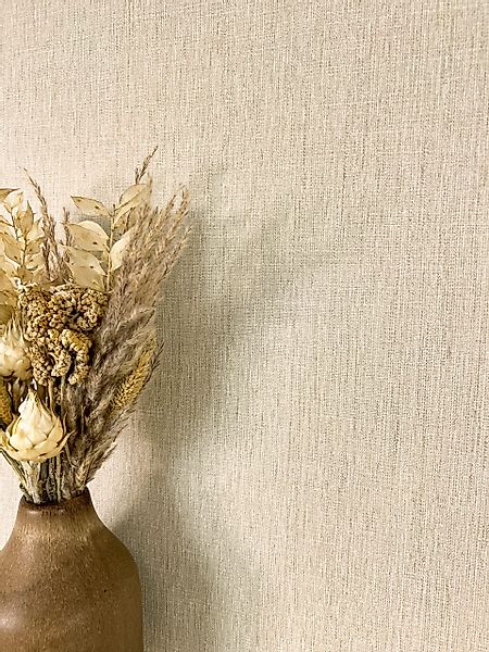 Newroom Vliestapete, Beige Tapete Modern Unifarbe günstig online kaufen