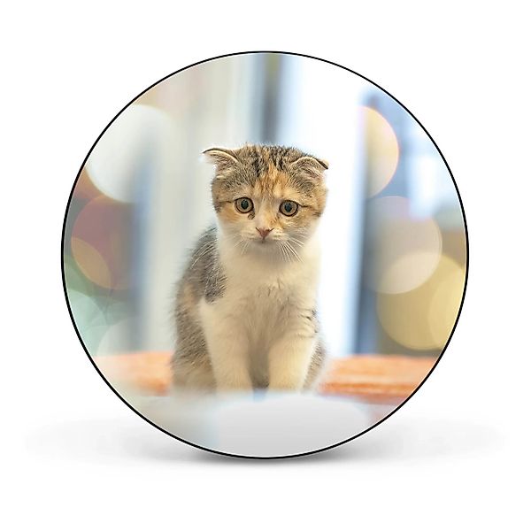 Banjado Magnettafel Rund Größe 47cm Magnetwand Schwarz Aus Metall Magnetpin günstig online kaufen