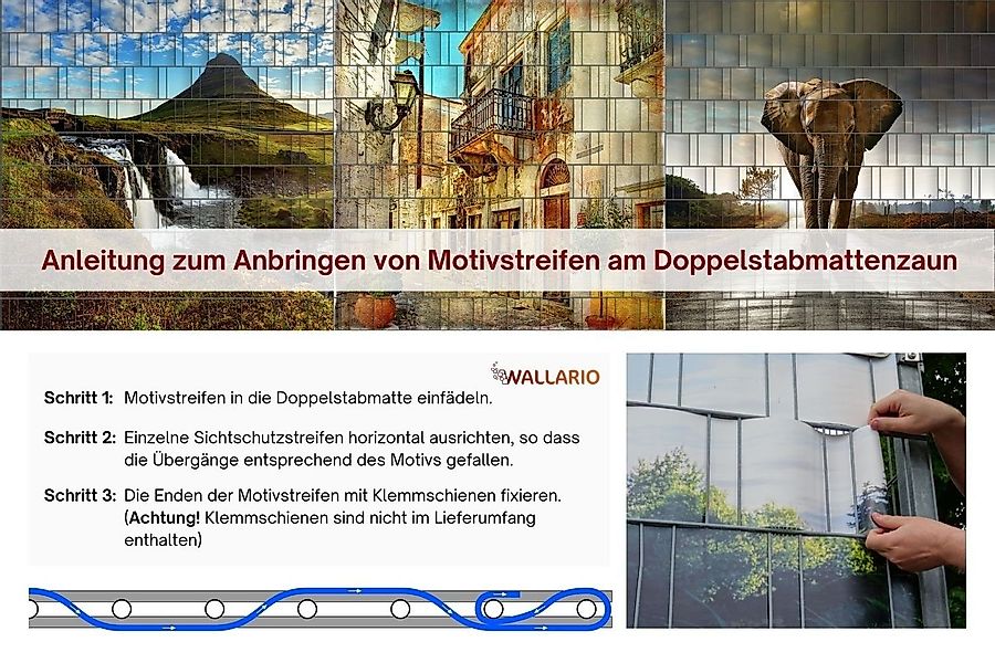 Wallario Sichtschutzstreifen Waldanemonen und Sonnenstrahlen im günstig online kaufen