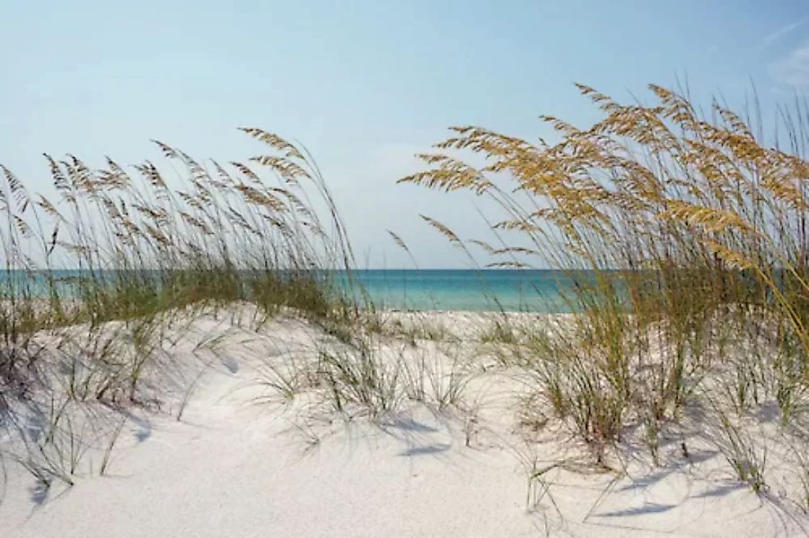 Papermoon Fototapete »Ocean Beach Dunes« günstig online kaufen