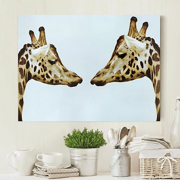 Leinwandbild Tiere - Querformat Giraffes in Love günstig online kaufen