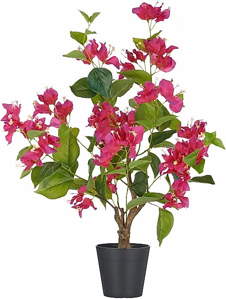 Creativ green Kunstpflanze "Bougainvillea", mit zahlreichen Blüten günstig online kaufen