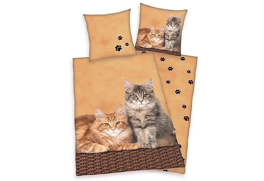 Bertels Kinderbettwäsche Wende Bettwäsche Katzen Bettwäsche 135 x 200cm, 1 günstig online kaufen