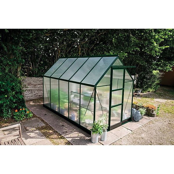Halls Gewächshaus Icon 6 Grün 6,1 m² günstig online kaufen