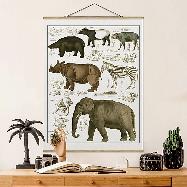 Stoffbild Tiere mit Posterleisten - Hochformat Vintage Lehrtafel Elefant, Z günstig online kaufen