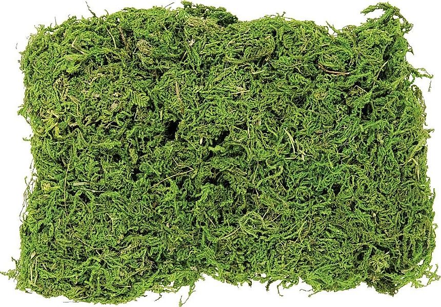 Glorex Dekofigur Glorex Moos Beutel 50 Gramm günstig online kaufen