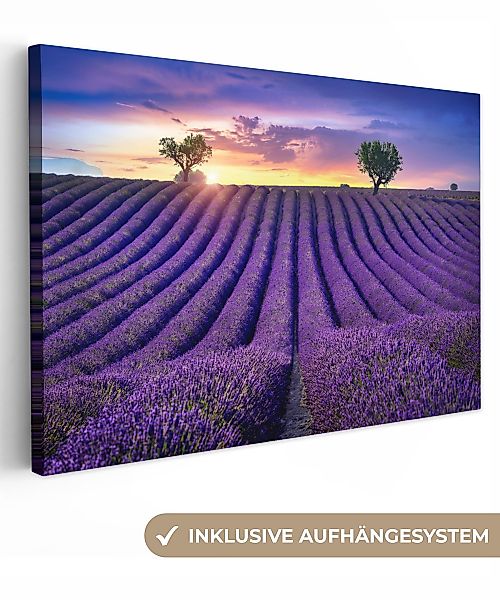 OneMillionCanvasses® Leinwandbild Lavendel - Hügel - günstig online kaufen