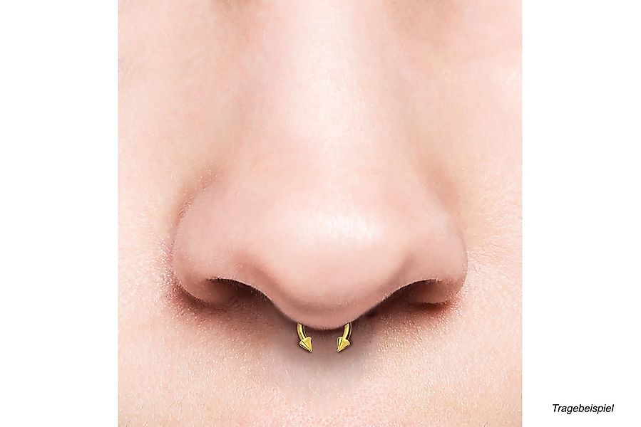 PIERCINGLINE Nasenpiercing Chirurgenstahl Hufeisenring SPITZEN (Hufeisen-Ri günstig online kaufen