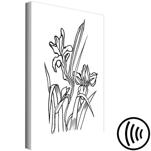 Wandbild Risse der Iris - minimalistische Schwarzweiß-Grafiken mit Iris XXL günstig online kaufen