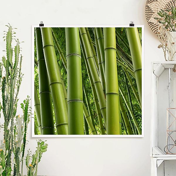 Poster Natur & Landschaft - Quadrat Bamboo Trees günstig online kaufen
