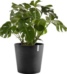 ECOPOTS Blumentopf AMSTERDAM Dark Grey, BxTxH: günstig online kaufen