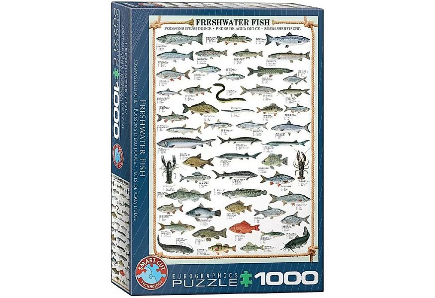 EUROGRAPHICS Puzzle Süßwasserfische, 1000 Puzzleteile günstig online kaufen