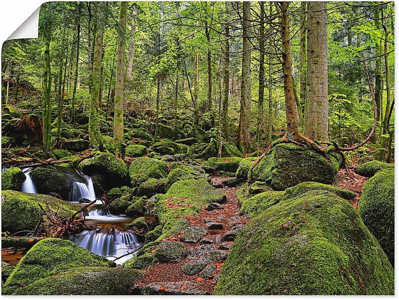 Artland Wandbild "Zauberwald" Wald 1 Stk. tlg. als Leinwandbild, Poster in günstig online kaufen