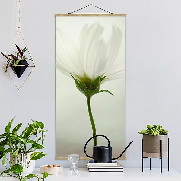 Stoffbild Blumen mit Posterleisten - Hochformat Weiße Cosmea günstig online kaufen