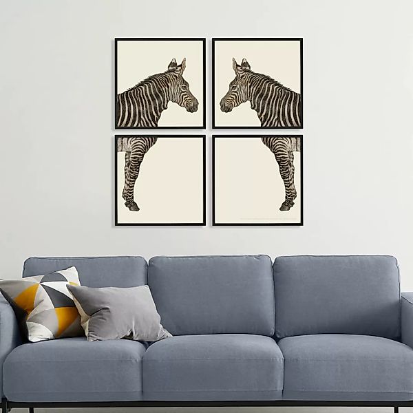 4 x Natural History Museum 'Vintage Zebra' gerahmte Kunstdrucke (40 x 40 cm günstig online kaufen