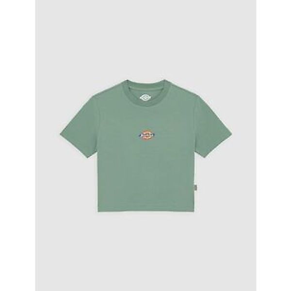 Dickies  T-Shirts & Poloshirts MAPLE VALLEY DK0A4XPO-L191 SEA SPRAY günstig online kaufen