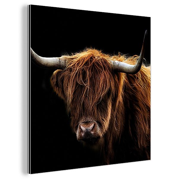 MuchoWow Metallbild Schottischer Highlander - Hörner günstig online kaufen