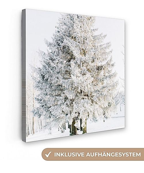 OneMillionCanvasses® Leinwandbild Winter - Baum - Schnee - Kiefer - Weiß, F günstig online kaufen