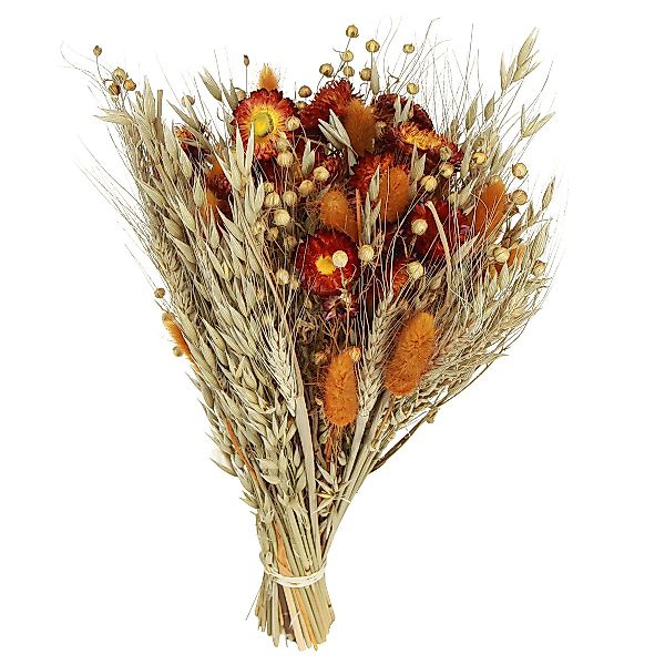 Trockenblume Dekorative Trockenblumenstrauß Orange-Mix, Natürliche Tischdek günstig online kaufen
