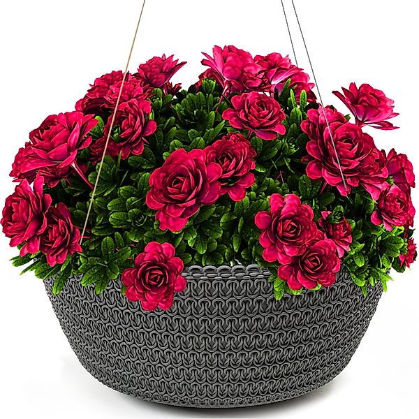 KONZEPT Blumenampel Hängend für Innen und günstig online kaufen