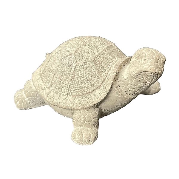ZGM Betonfigur Schildkröte AMANDA günstig online kaufen