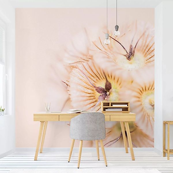 Fototapete Pastellfarbener Blütenstrauß günstig online kaufen