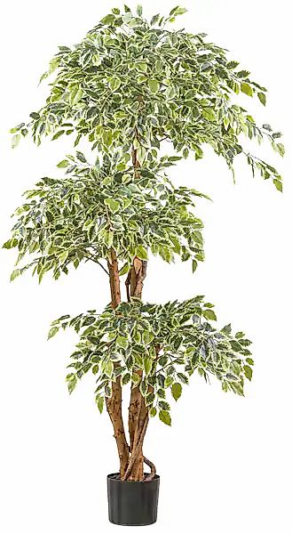 Creativ green Kunstpflanze »Ficus benjamina« mit Naturstamm günstig online kaufen