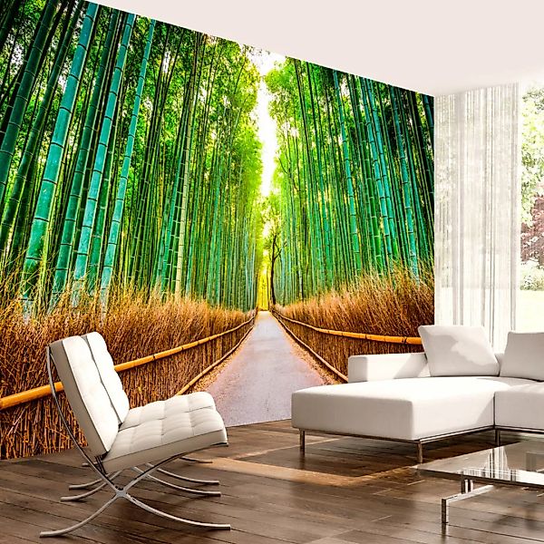Selbstklebende Fototapete - Bamboo Forest günstig online kaufen