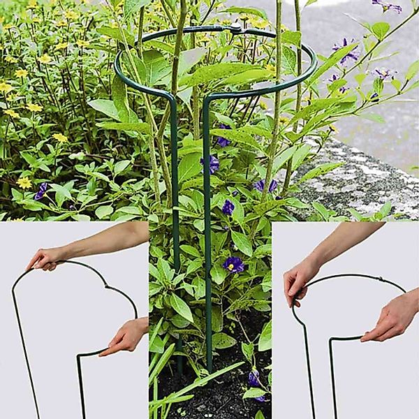 Siena Garden Rankhilfe Pflanzenstütze vollrund 55 günstig online kaufen