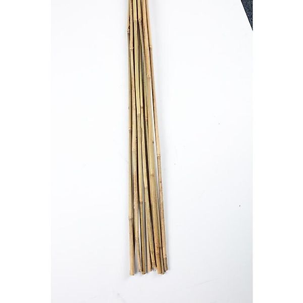 BURI Rankhilfe 10er Set Bambus-Stangen L günstig online kaufen