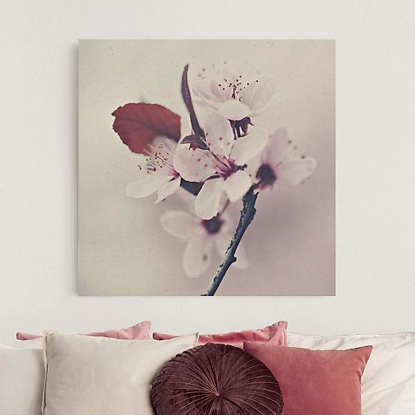 Leinwandbild auf Naturcanvas Kirschblütenzweig Altrosa günstig online kaufen