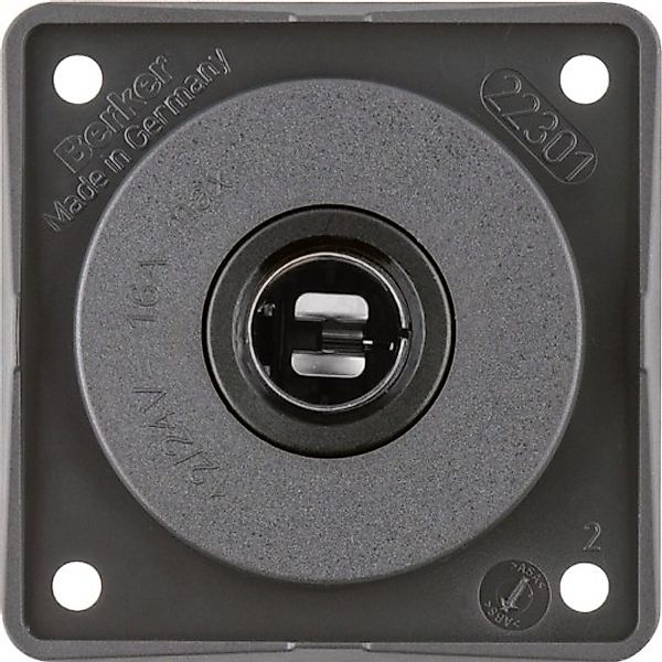 Berker Kfz-Steckdose anth 945172505 - 945172505 günstig online kaufen