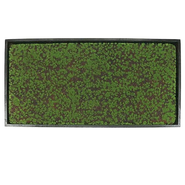 Künstliche Zimmerpflanze Wandbild Moosrahmen Grün 60x30cm günstig online kaufen