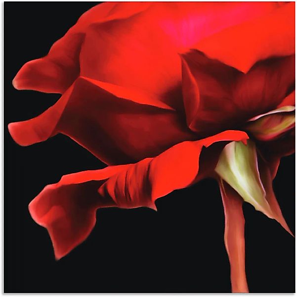 Artland Wandbild »Rose«, Blumen, (1 St.) günstig online kaufen