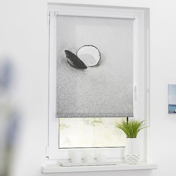 Seitenzugrollo Klemmfix Motiv Muschel, LICHTBLICK ORIGINAL, Lichtschutz, oh günstig online kaufen