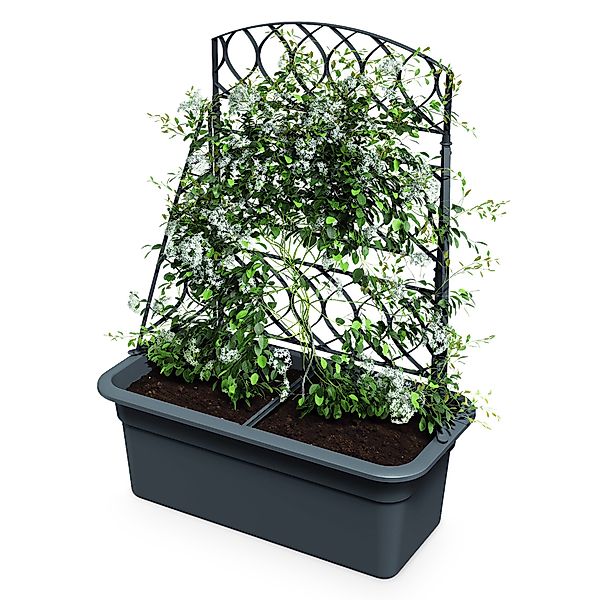 Spetebo Blumenkasten Kunststoff Blumenkasten anthrazit mit günstig online kaufen