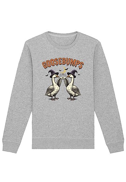 F4NT4STIC Sweatshirt "Retro Halloween Goosebumps", Premium Qualität günstig online kaufen