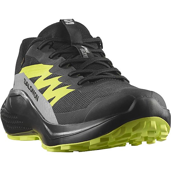 Salomon Trailrunningschuh "ALPHAGLIDE GTX" wasserdicht günstig online kaufen