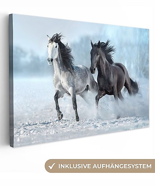 OneMillionCanvasses® Leinwandbild Pferde - Winter - günstig online kaufen