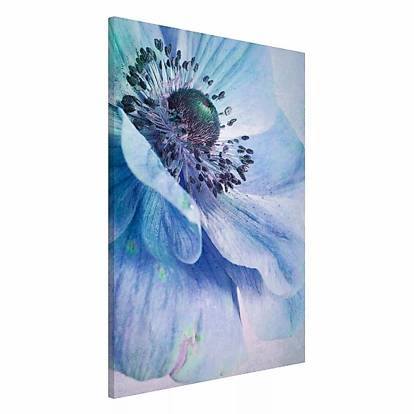 Magnettafel - Hochformat 2:3 Blüte in Türkis günstig online kaufen