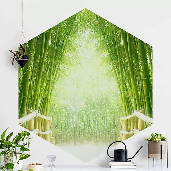 Hexagon Fototapete selbstklebend Bamboo Way günstig online kaufen