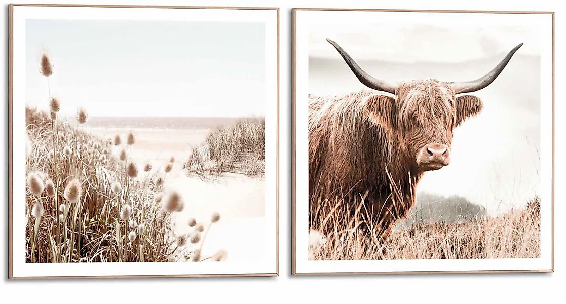 Reinders Wandbild "Freie Natur Highlander - Kuh - Heide - Strand - Ruhe" 2 günstig online kaufen