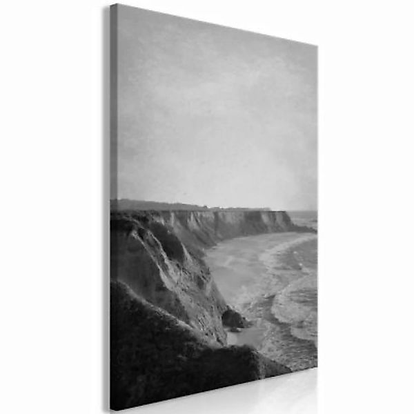 artgeist Wandbild Cliff (1 Part) Vertical schwarz/weiß Gr. 40 x 60 günstig online kaufen