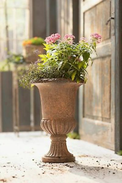 HOME Living Pflanzer Rustic Amphore Blumentöpfe braun günstig online kaufen