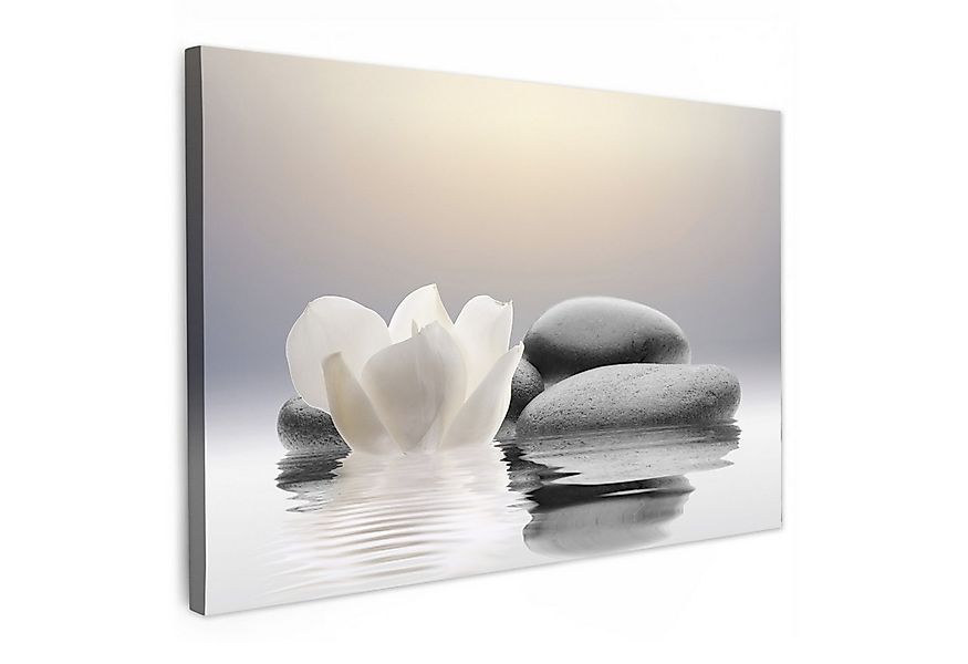 OneMillionCanvasses® Leinwandbild Steine - Lotus - Weiß - Wasser - Zen, Fot günstig online kaufen