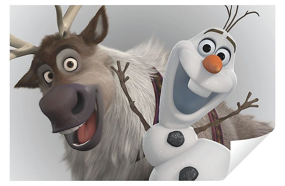 Wallarena Leinwandbild Kinderzimmer Mädchen Frozen Wandbild günstig online kaufen