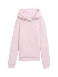 TOM TAILOR Sweatshirt mit Logoprint auf günstig online kaufen